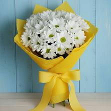 Букет цветов из:  Хризантемы в Лениногорске