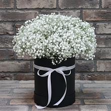 Цветочная композиция из Гипсофила в шляпной коробке в Лениногорске