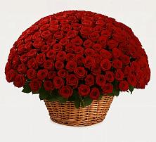 Премиум букет из: Розы в Лениногорске