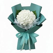 Букет цветов из:  Гортензия #REPLACE_PRED# Лениногорске
